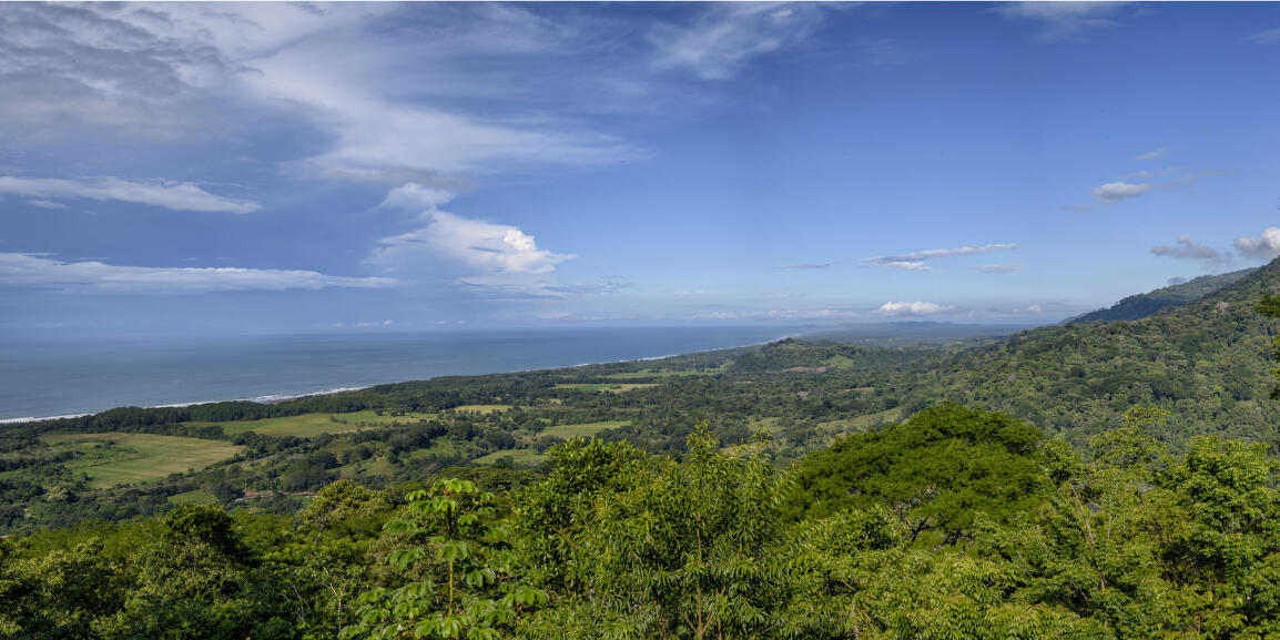 2023 Costa Rica Love Your Playful Life Retreat -palm tree, relax