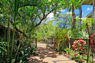 Garden view at Wailea Inn property | Vitally You Retreat Nov 2019