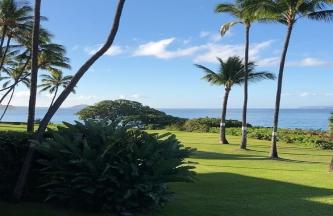 Ocean front lawn for yoga and dance |Vitally You Retreat Nov 2019