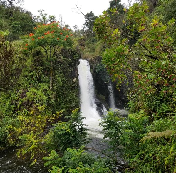 Waterfall on Road to Hana | Vitally You Maui Retreat |Hawaii 2019