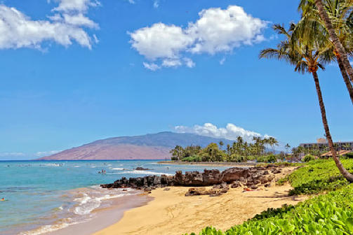 Maui Retreat | beach, sun, palm trees, sand, vacation, relaxation
