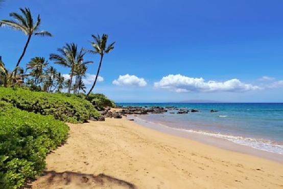 Maui Hawaii | Vitally You Retreat November | Nearby retreat villa
