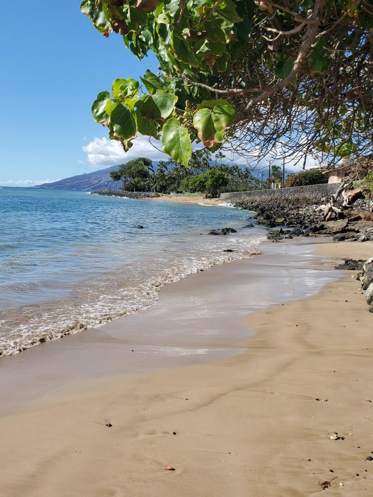 Maui Celestial Retreat | beach, sun, palm trees, relaxing, Angels