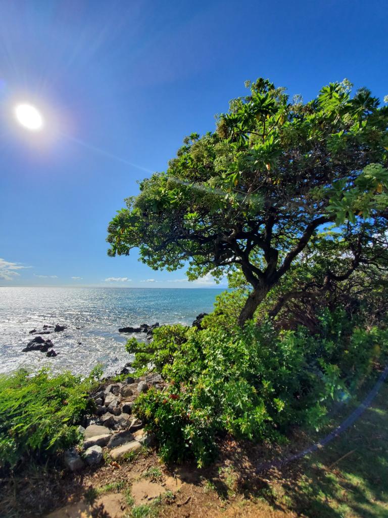 Maui Celestial Retreat | beach, sun, palm trees, relaxing, Angels