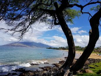 Maui Celestial Retreat | beach, sun, palm trees, relaxing, Angels