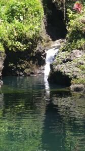 Road to Hana is an experience -waterfalls, hiking, great scenery 
