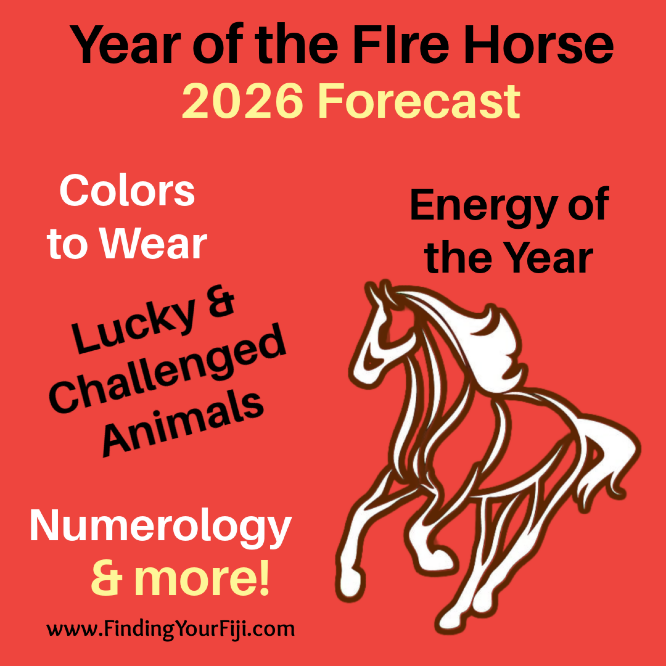 Year of the Fire Horse workshop helps you create success in 2026!